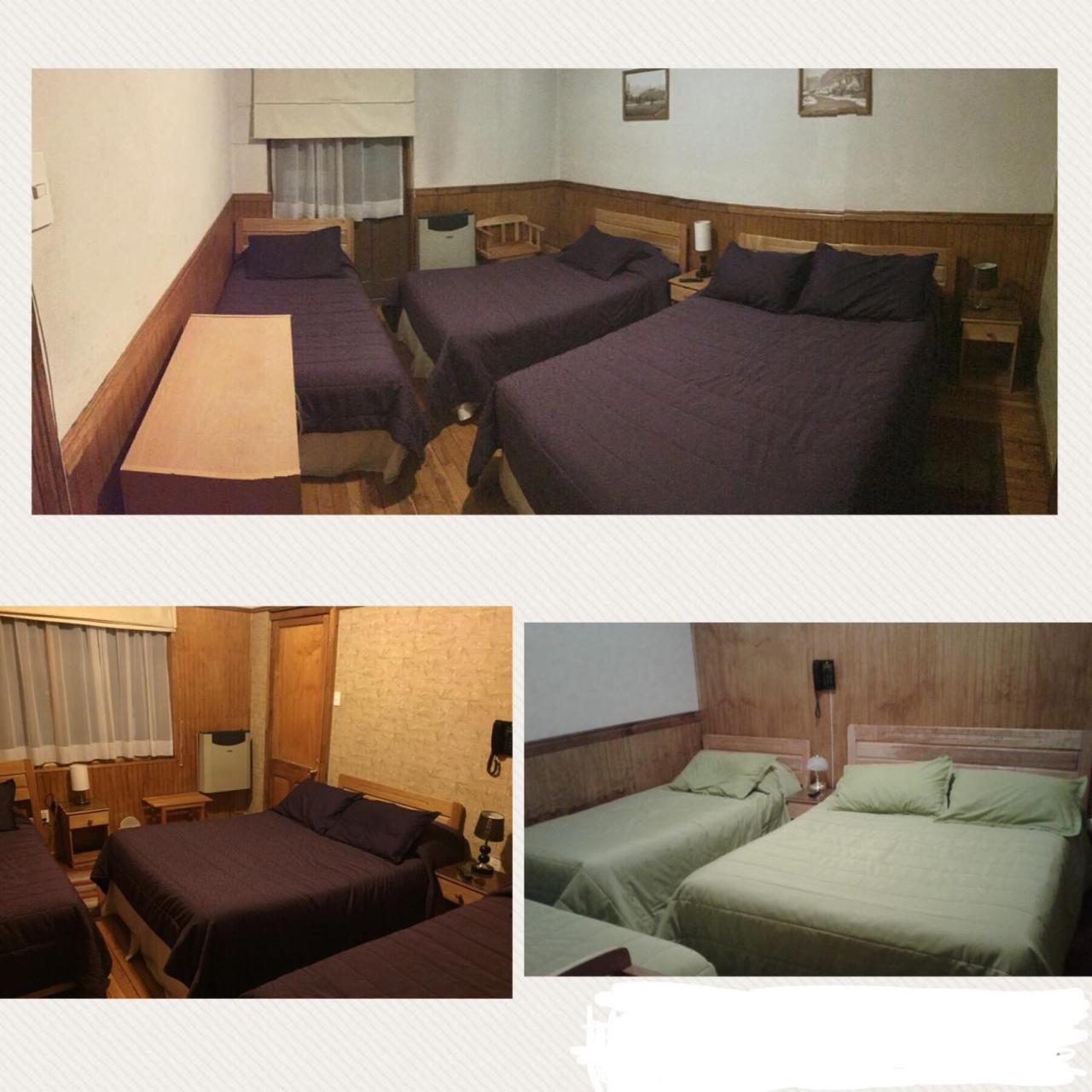 Hostal Chalet Las Violetas Пунта Аренас Екстериор снимка